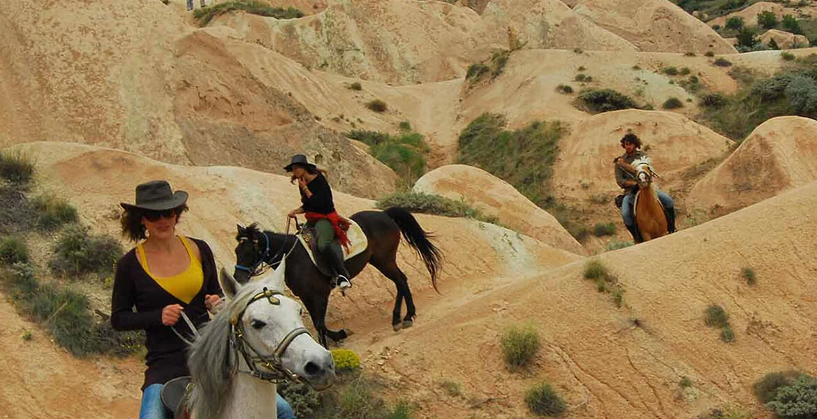 Horseback riding and ATV tours